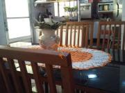 Sobrado em Parque Continental II, Guarulhos/SP de 250m²...