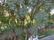 Sobrado em Rua Buriti Alves Dias SÃ£o Bernardo do Campo/SP