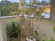 Sobrado em Rua do Horto Horto Florestal São Paulo/SP