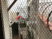 Sobrado em Rua Rafael Ferrari Jardim Alvorada Zona Oeste...