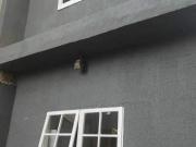 Sobrado em Vila Nova Bonsucesso, Guarulhos/SP de 191m² 4...