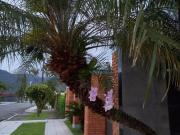 SOBRADO ISOLADO BALNEÁRIO FLÓRIDA PRAIA GRANDE/SP