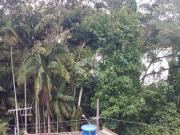 SOBRADO JARDIM LAS PALMAS COM 284 M²