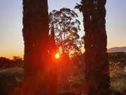 Sobrado jardim paulista sp