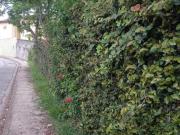 Sobrado + Lote 1137m² área total com 190m² área...