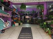 Sobrado Mobiliado | 3 quartos | 174² Priv | Tatuquara...