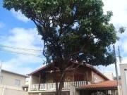 Sobrado para venda em Jardim Regina de 236.00m² com 2...