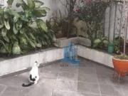 Sobrado para venda em Olímpico de 190.00m² com 3...