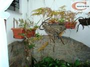 Sobrado residencial à venda, Conceição, São Paulo SO0139 Sobrado residencial à venda, Conceição, São Paulo SO0139