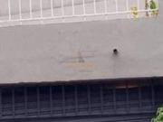 Sobrado Residencial à venda, Jardim Guarau, São Paulo