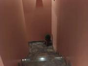 Sobrado Ã venda com 3 quartos, sendo 1 suÃte Parque Novo...