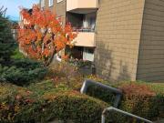 Schöne 4 Zimmern Wohnung in Dortmund Aplerbecker Mark