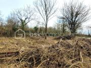 Soignolles en Brie Vente Terrain 77