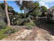 Solar a 200 metros del mar en urbanización El Toro, Calvià