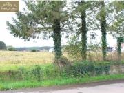 Solar de 890m2 en Oza Carballo