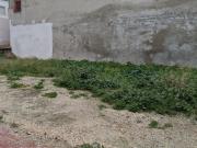 Solar en El Otro Lao