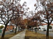 SOLAR EN LOS RUEDOS DE CONSOLACIÓN