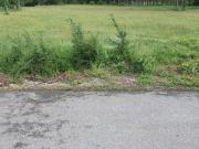 SOLAR EN VENTA EN ALMAZCARA