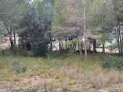 Solar en venta en avenida De Meligó, Ampolla, l´, de...