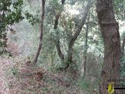 Solar en venta en avenida Segona, Torrelles de...