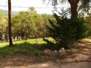 Solar en venta en barrio Lloc Solius, Santa Cristina...