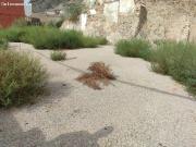 Solar en Venta en Barrio Viejo de Callosa de Segura,...