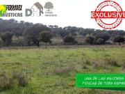 Solar en venta en Cáceres Cáceres