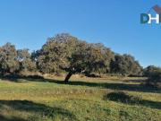 Solar en venta en Cáceres Cáceres