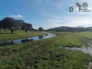 Solar en venta en Cáceres Cáceres