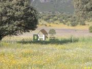 Solar en venta en Cáceres Cáceres