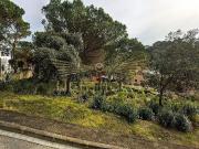 Solar en venta en calle Benicarló, Lloret de Mar, de 981...