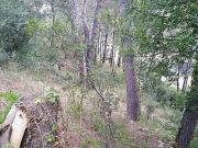 Solar en venta en calle Crisantem, Cunit, de 800 m² por...