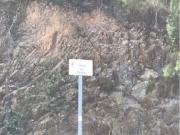 Terreno en venta en calle De Les Orenetes, Lloret de...