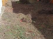 Solar en venta en calle De Sant Antoni Abat, Badalona,...