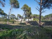 Solar en venta en calle Del Puig Vermell, Pals, de 1.060...