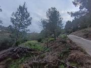 Solar en venta en calle Dels Barranquets, Castellvell...