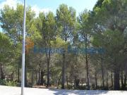 Solar en venta en calle Les Esplanas, Llançà, de 733 m²...