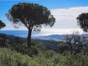 Solar en venta en calle Mas Nou, Castell Platja d´Aro,...