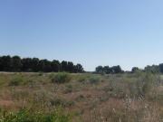 Solar en venta en calle Pluto, Lleida, de 1.116 m² por...