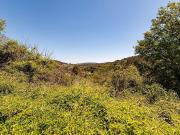 Solar en venta en calle Sant Bernat, Pontons, de 1.201...