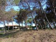Solar en venta en calle Univers, Blanes, de 500 m² por...