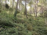 Solar en venta en Corbera de Llobregat, de 1.900 m² por...