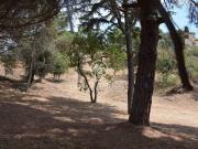Solar en venta en Mataró, de 1.250 m² por 525.000