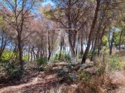 Solar en venta en Moraira Alicante