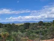 Solar en venta en Palma de Mallorca Baleares