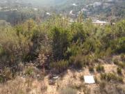 Solar en venta en Riudarenes, de 1.568 m² por 97.000