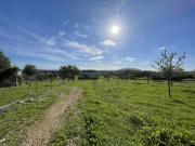 Solar en venta en Selva Baleares