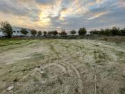 SOLAR INDUSTRIAL DE 1285 EN POLÍGONO LAS ARENAS