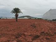 Solar Industrial paraje el reloj