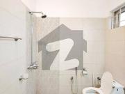 Solar Installed Spacious 10 Marla House For Sale